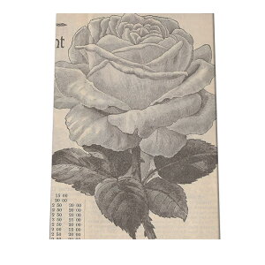  t[  A |X^[  mg[ } A ϗt  CeA  A[g _ a0 a1 a2 a3 a4 b0 b1 b2 b3 b4 cybn-poster-24z