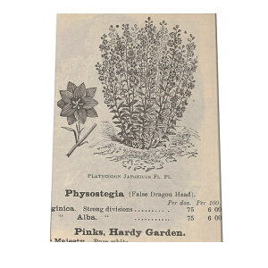  t[  A |X^[  mg[ } A ϗt  CeA  A[g _ a0 a1 a2 a3 a4 b0 b1 b2 b3 b4 cybn-poster-25z