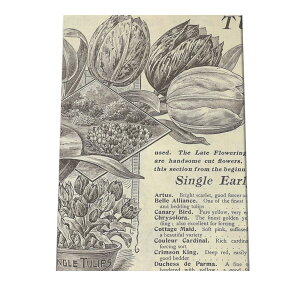  t[  A |X^[  mg[ } A ϗt  CeA  A[g _ a0 a1 a2 a3 a4 b0 b1 b2 b3 b4 cybn-poster-26z