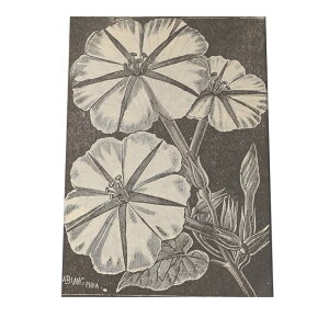  t[  A |X^[  mg[ } A ϗt  CeA  A[g _ a0 a1 a2 a3 a4 b0 b1 b2 b3 b4 cybn-poster-29z