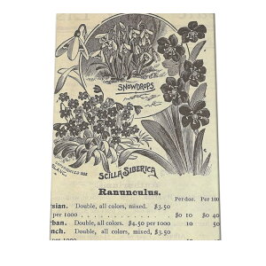  t[  A |X^[  mg[ } A ϗt  CeA  A[g _ a0 a1 a2 a3 a4 b0 b1 b2 b3 b4 cybn-poster-2z