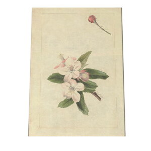  t[  A |X^[  mg[ } A ϗt  CeA  A[g _ a0 a1 a2 a3 a4 b0 b1 b2 b3 b4 cybn-poster-302z