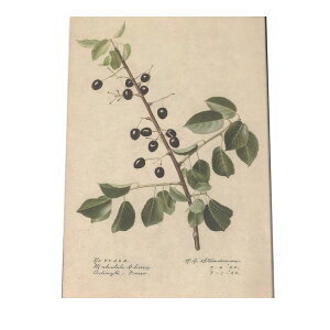 x[ v[  ʕ t[c fW^}X^[ g |X^[  A } g Â re[W I[h CeA  A[g _ cybn-poster-305z