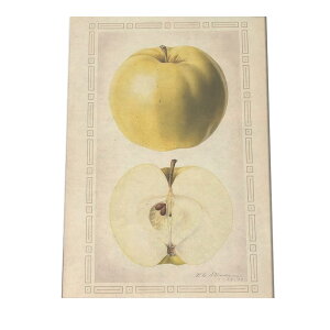 miV  t[c  A |X^[ } g Â re[W I[h fW^}X^[ CeA  A[g Î  cybn-poster-308z