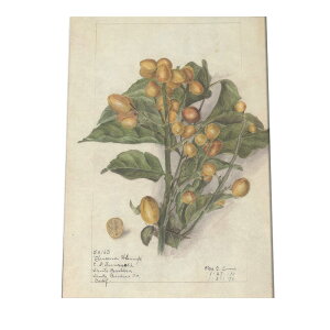 A t  {^jJ  A |X^[ } g Â re[W I[h fW^}X^[ CeA  A[g Î  cybn-poster-315z