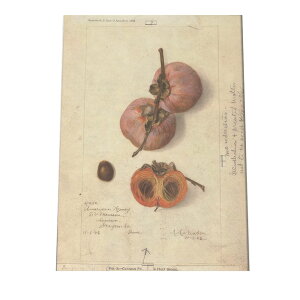 IW ʕ ݂  A |X^[ } g Â re[W I[h fW^}X^[ CeA  A[g Î  cybn-poster-321z