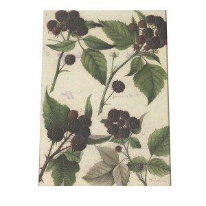 ؂̎ ibc  A |X^[ } g Â re[W I[h fW^}X^[ CeA  A[g Î  cybn-poster-324z