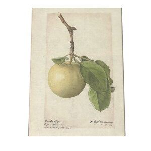 S Abv  ʕ A } g |X^[  A } g Â re[W I[h fW^}X^[ CeA  A[g _ cybn-poster-329z