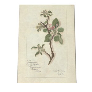 A t  {^jJ  A |X^[ } g Â re[W I[h fW^}X^[ CeA  A[g Î  cybn-poster-331z