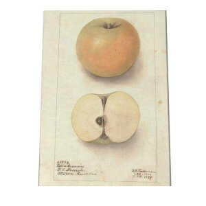 S Abv  ʕ A } g |X^[  A } g Â re[W I[h fW^}X^[ CeA  A[g _ cybn-poster-335z