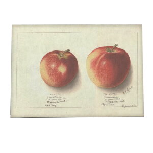 S Abv  ʕ A } g |X^[  A } g Â re[W I[h fW^}X^[ CeA  A[g _ ybn-poster-340z