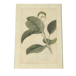 A t  {^jJ  A |X^[ } g Â re[W I[h fW^}X^[ CeA  A[g Î  cybn-poster-341z