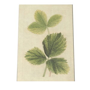 A t  {^jJ  A |X^[ } g Â re[W I[h fW^}X^[ CeA  A[g Î  cybn-poster-342z