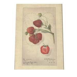  Xgx[ ʕ bh Ȃ  A |X^[ } g Â re[W I[h fW^}X^[ CeA  A[g Î  cybn-poster-343z