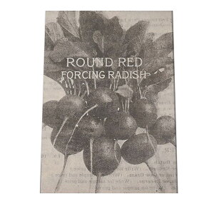 |X^[   mg[ } A ϗt  CeA  A[g _ a0 a1 a2 a3 a4 b0 b1 b2 b3 b4  傫  cybn-poster-35z