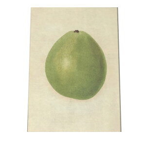 miV  t[c  A |X^[ } g Â re[W I[h fW^}X^[ CeA  A[g Î  cybn-poster-367z