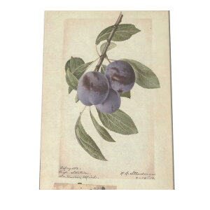 u[x[ x[  A } g |X^[  A } g Â re[W I[h fW^}X^[ CeA  A[g _ cybn-poster-379z