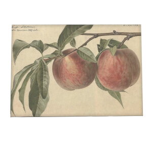   IW ʕ t[c fW^}X^[ g |X^[  A } g Â re[W I[h CeA  A[g _ ybn-poster-388z