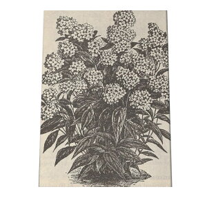 |X^[   mg[ } A ϗt  CeA  A[g _ a0 a1 a2 a3 a4 b0 b1 b2 b3 b4  傫  cybn-poster-38z