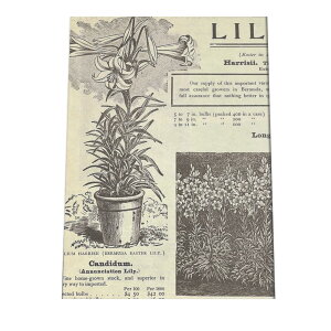 |X^[   mg[ } A ϗt  CeA  A[g _ a0 a1 a2 a3 a4 b0 b1 b2 b3 b4  傫  cybn-poster-39z