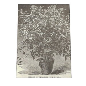  t[  A |X^[  mg[ } A ϗt  CeA  A[g _ a0 a1 a2 a3 a4 b0 b1 b2 b3 b4 cybn-poster-3z