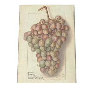 ���� ������ �I�����W �ʕ� �t���[�c �f�W�^�����}�X�^�[ ���g�� �|�X�^�[ ������ �A�� �}�� ���g�� �Â� �r���e�[�W �I�[���h �C���e���A ������� �A�[�g ���_�� �c�ybn-poster-400�z