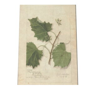 A    fW^}X^[ g |X^[  A } g Â re[W I[h CeA  A[g _ cybn-poster-406z