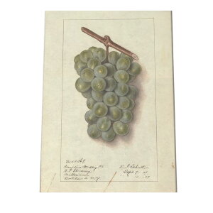 }XJbg Ԃǂ O[v fW^}X^[ g |X^[  A } g Â re[W I[h CeA  A[g _ cybn-poster-411z