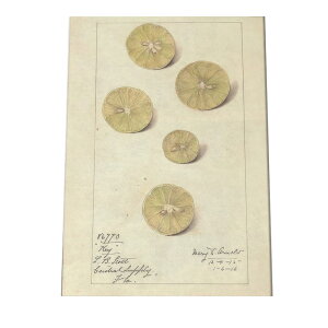 IW  ʕ ݂  A |X^[ } g Â re[W I[h fW^}X^[ CeA  A[g Î  cybn-poster-419z