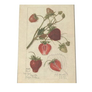  Xgx[ ʕ bh Ȃ  A |X^[ } g Â re[W I[h fW^}X^[ CeA  A[g Î  cybn-poster-424z