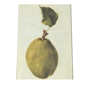 miV  t[c  A |X^[ } g Â re[W I[h fW^}X^[ CeA  A[g Î  cybn-poster-433z