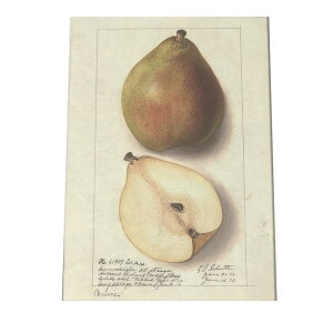 miV  t[c  A |X^[ } g Â re[W I[h fW^}X^[ CeA  A[g Î  cybn-poster-434z