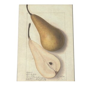 miV  t[c  A |X^[ } g Â re[W I[h fW^}X^[ CeA  A[g Î  cybn-poster-436z