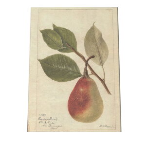 miV  t[c  A |X^[ } g Â re[W I[h fW^}X^[ CeA  A[g Î  cybn-poster-437z