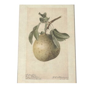 miV  t[c  A |X^[ } g Â re[W I[h fW^}X^[ CeA  A[g Î  cybn-poster-438z