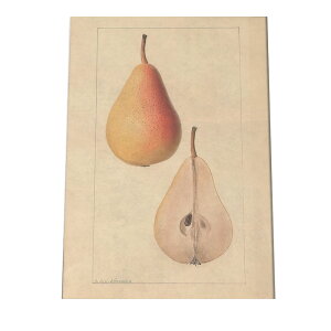 miV  t[c  A |X^[ } g Â re[W I[h fW^}X^[ CeA  A[g Î  cybn-poster-439z