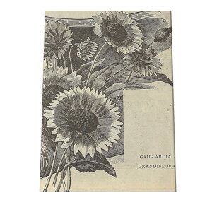 |X^[   mg[ } A ϗt  CeA  A[g _ a0 a1 a2 a3 a4 b0 b1 b2 b3 b4  傫  cybn-poster-43z