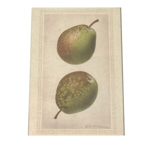 miV  t[c  A |X^[ } g Â re[W I[h fW^}X^[ CeA  A[g Î  cybn-poster-441z