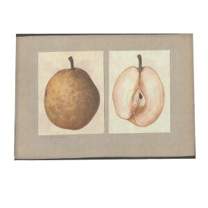 miV  t[c  A |X^[ } g Â re[W I[h fW^}X^[ CeA  A[g Î  ybn-poster-442z