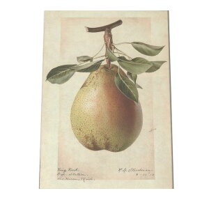 miV  t[c  A |X^[ } g Â re[W I[h fW^}X^[ CeA  A[g Î  cybn-poster-443z