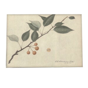 ؂̎  ibc  A |X^[ } g Â re[W I[h fW^}X^[ CeA  A[g Î  ybn-poster-444z