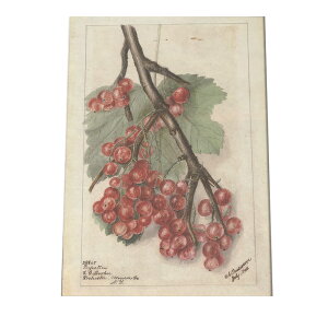 ؂̎  ibc  A |X^[ } g Â re[W I[h fW^}X^[ CeA  A[g Î  cybn-poster-445z