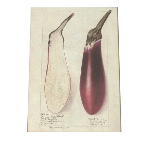 ֎q   re[W A |X^[  A } g Â re[W I[h fW^}X^[ CeA  A[g cybn-poster-446z