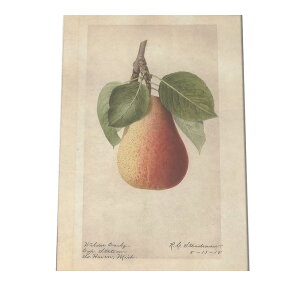 miV  t[c  A |X^[ } g Â re[W I[h fW^}X^[ CeA  A[g Î  cybn-poster-447z