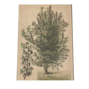 A t  {^jJ  A |X^[ } g Â re[W I[h fW^}X^[ CeA  A[g Î  cybn-poster-450z