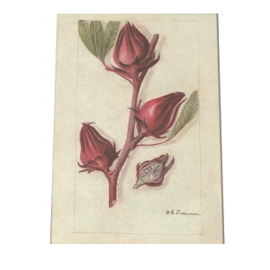 A t  {^jJ  A |X^[ } g Â re[W I[h fW^}X^[ CeA  A[g Î  cybn-poster-452z