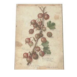 ؂̎  ibc  A |X^[ } g Â re[W I[h fW^}X^[ CeA  A[g Î  cybn-poster-454z