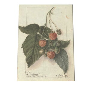 ؂̎  ibc  A |X^[ } g Â re[W I[h fW^}X^[ CeA  A[g Î  cybn-poster-455z