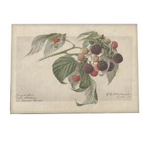 ؂̎  ibc  A |X^[ } g Â re[W I[h fW^}X^[ CeA  A[g Î  ybn-poster-456z