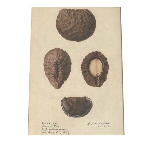 ؂̎  ibc  A |X^[ } g Â re[W I[h fW^}X^[ CeA  A[g Î  cybn-poster-459z